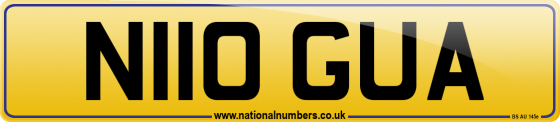 N110 GUA