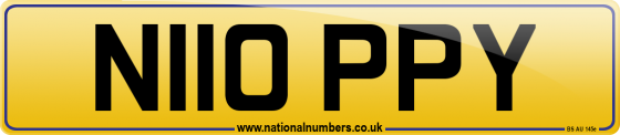 N110 PPY