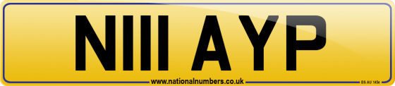 N111 AYP