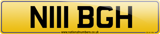 N111 BGH