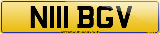 N111 BGV