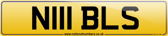 N111 BLS