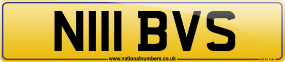N111 BVS