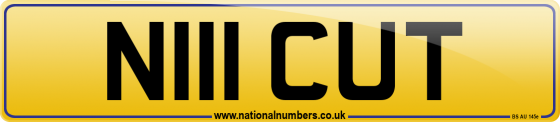 N111 CUT