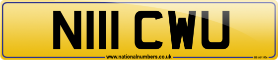 N111 CWU