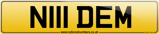 N111 DEM
