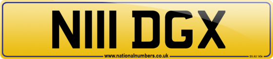 N111 DGX