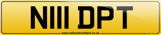 N111 DPT
