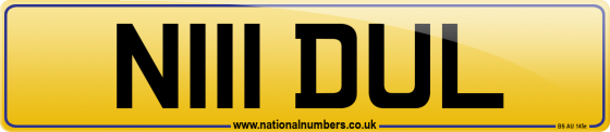 N111 DUL