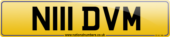 N111 DVM