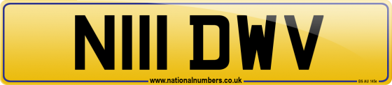 N111 DWV