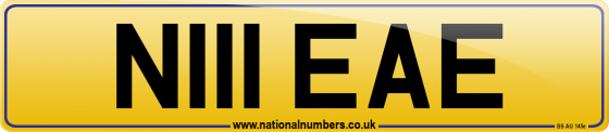 N111 EAE