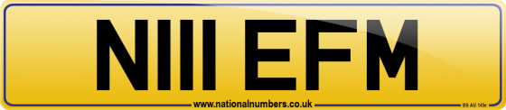 N111 EFM