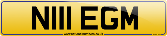 N111 EGM