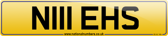 N111 EHS