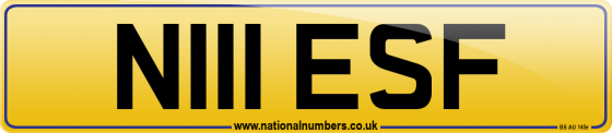 N111 ESF