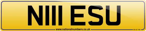 N111 ESU