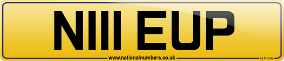 N111 EUP