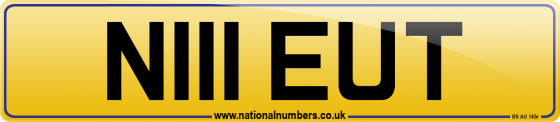 N111 EUT