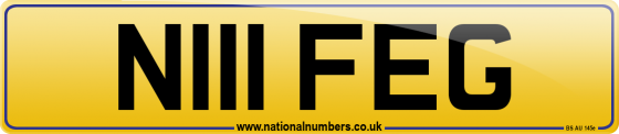 N111 FEG
