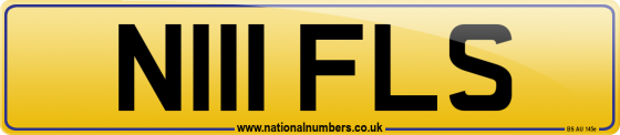 N111 FLS
