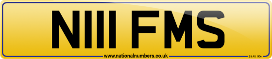 N111 FMS