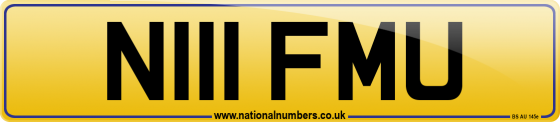 N111 FMU