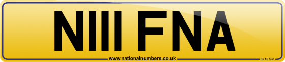 N111 FNA
