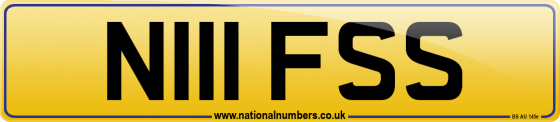 N111 FSS