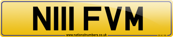 N111 FVM