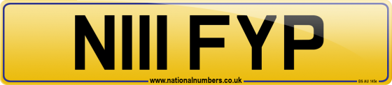 N111 FYP
