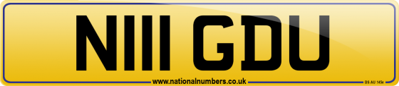 N111 GDU