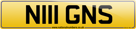 N111 GNS