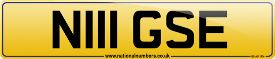 N111 GSE