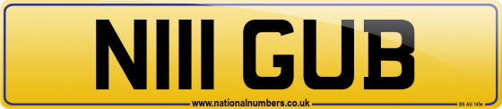 N111 GUB