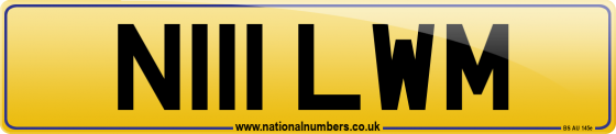N111 LWM