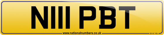 N111 PBT