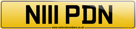 N111 PDN