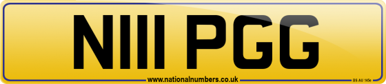 N111 PGG