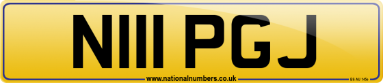N111 PGJ