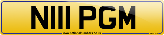 N111 PGM