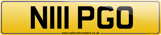 N111 PGO