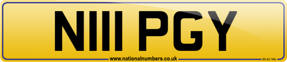 N111 PGY