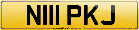 N111 PKJ