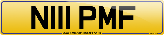 N111 PMF