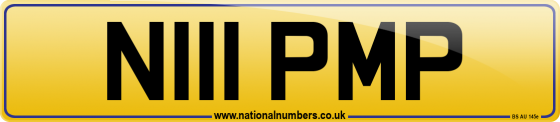 N111 PMP