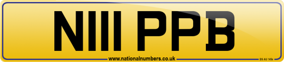 N111 PPB