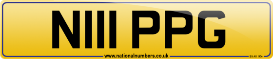 N111 PPG