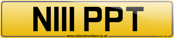 N111 PPT