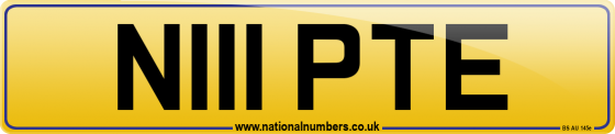 N111 PTE
